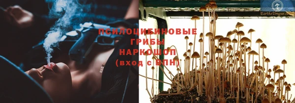 спайс Богородск