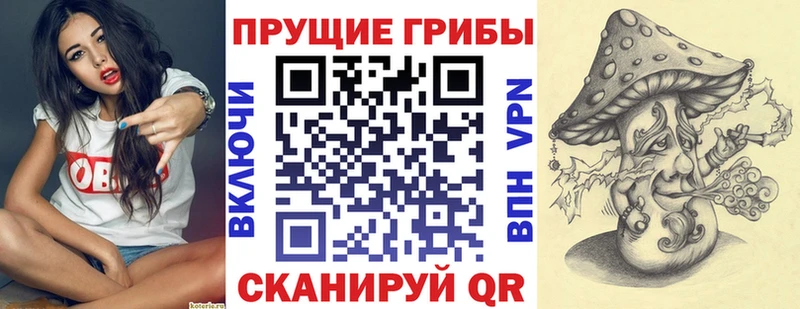 Псилоцибиновые грибы мицелий  Кукмор 